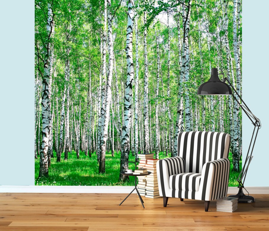 Фотообои Березки на стену