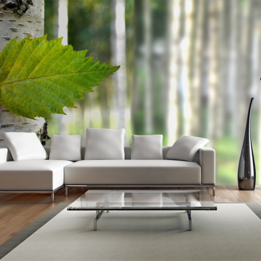 Фотообои березы в интерьере