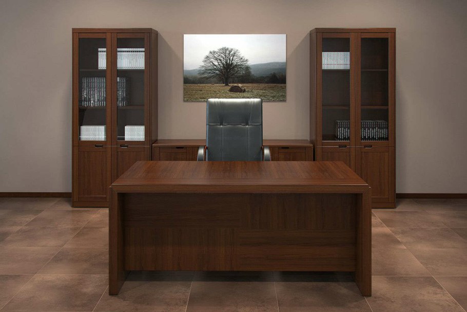 Кабинет руководителя Sorbonne