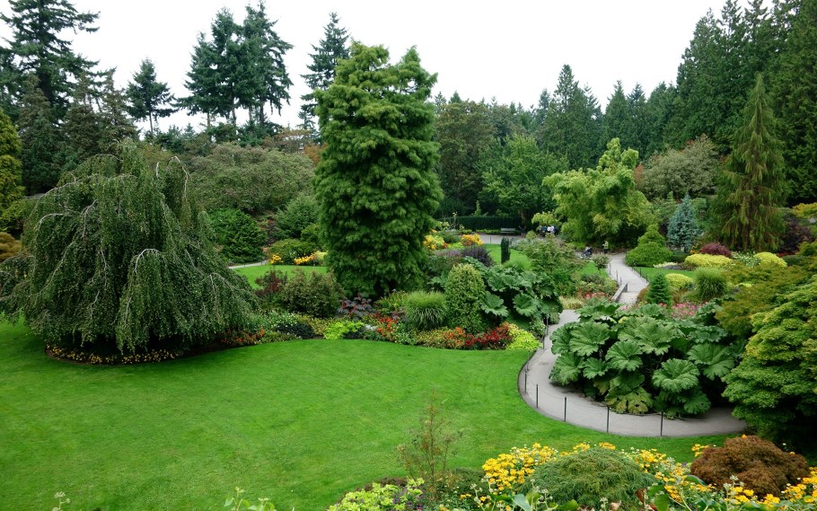 Сад хвойных растений Людмилы Авдониной