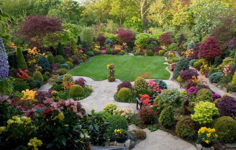 Декоративные растения для сада