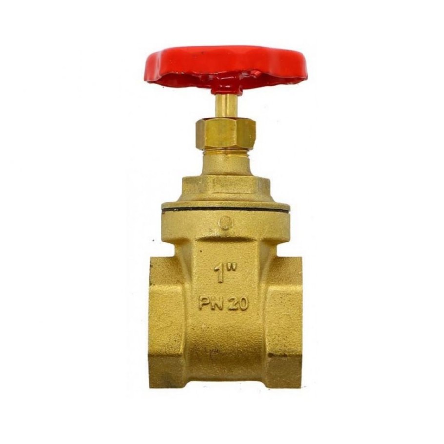 Задвижка латунь r55 клиновая ВР Giacomini