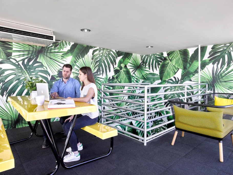 Тропики в офисе