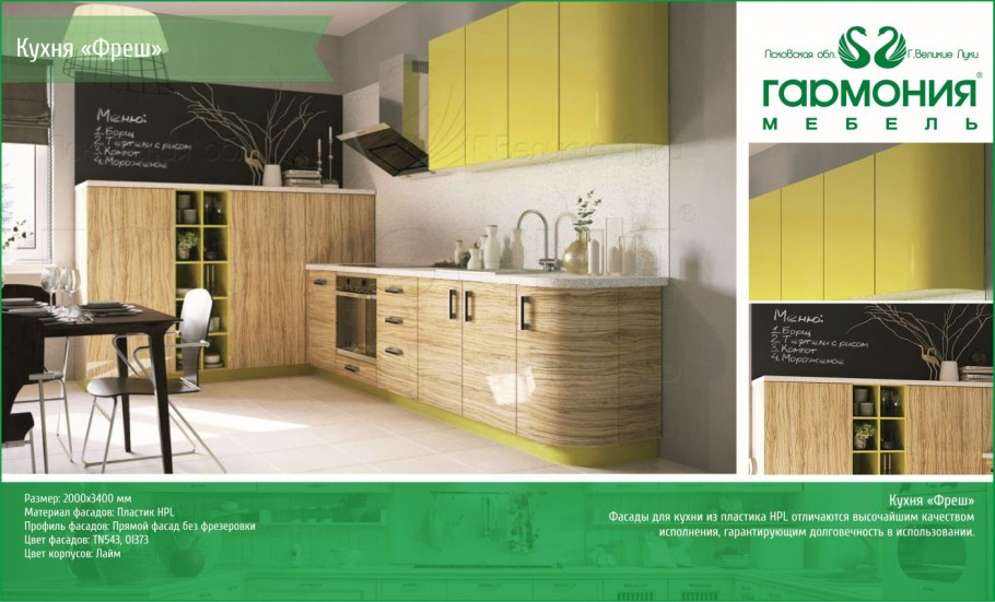 Великие Луки , фабрика "Гармония"