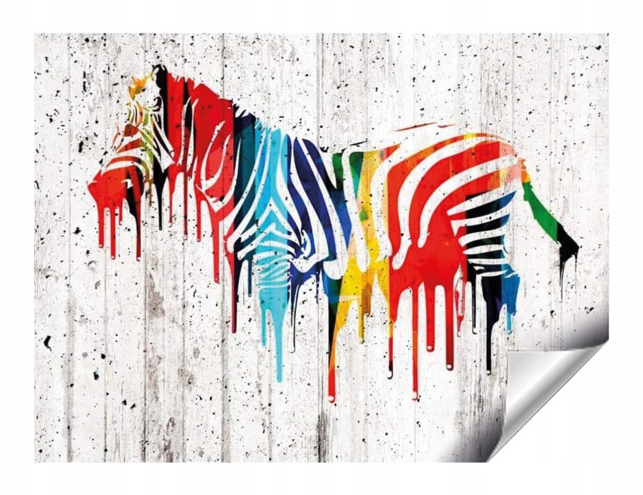 Фотообои Зебра разноцветная