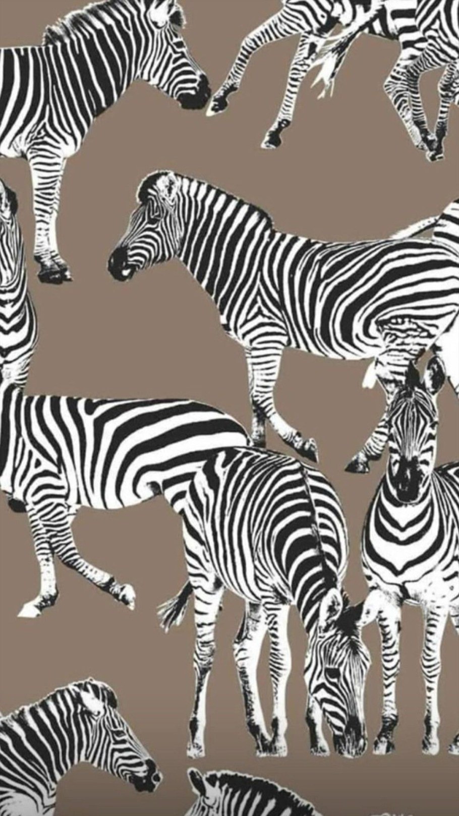 Принты с животными