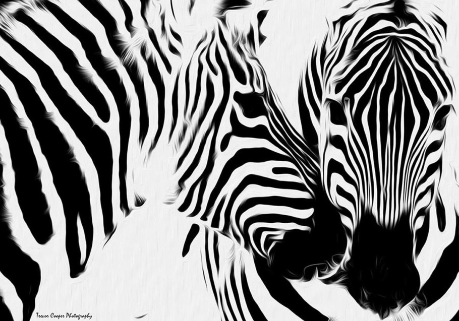 Поп арт животные