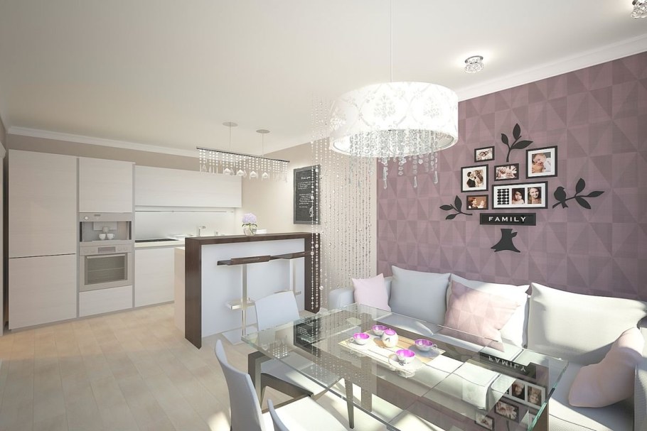 Кухня-гостиная 20 кв.м евродвушка