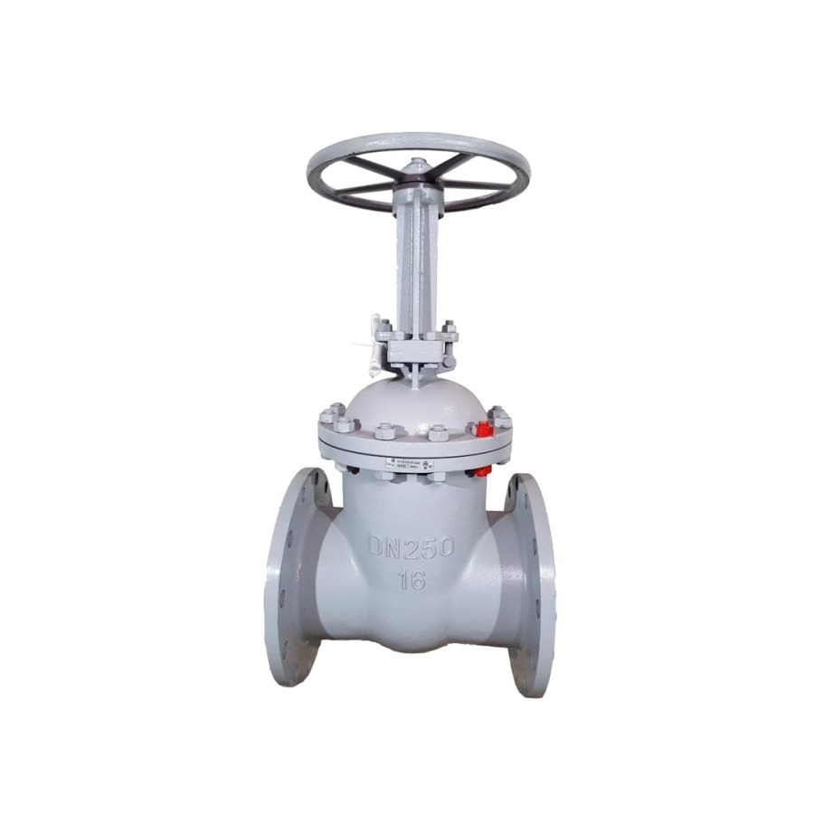 Задвижка 30с41нж Ду-300