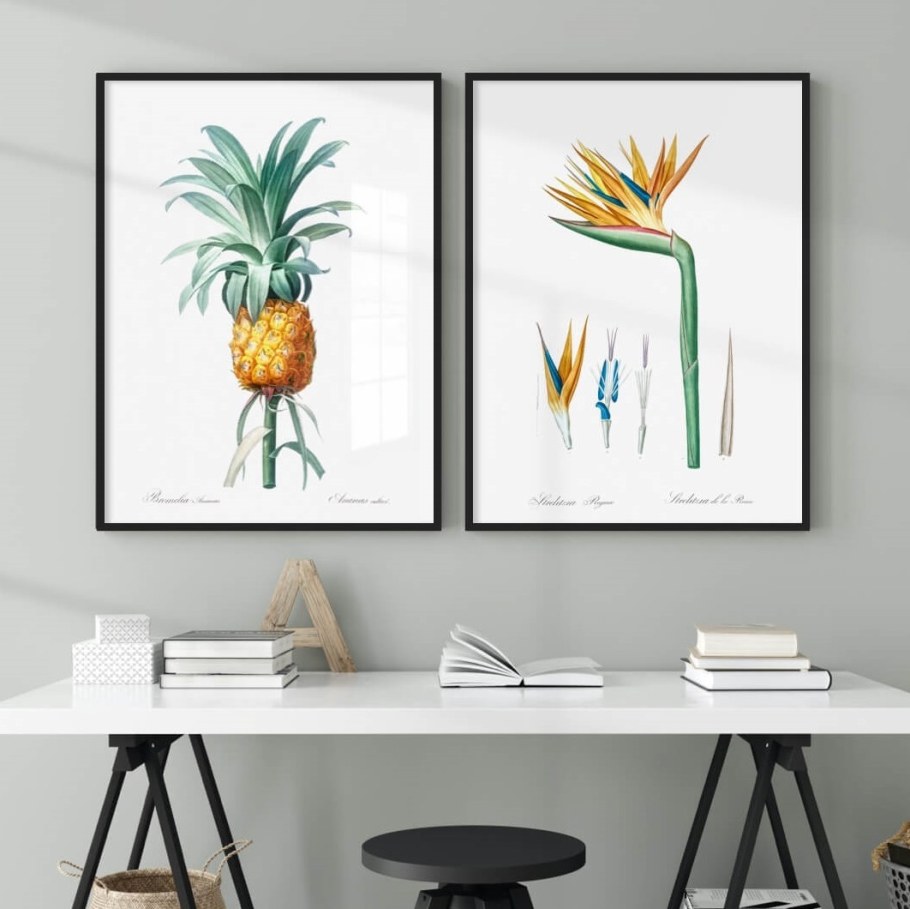 Постеры Скандинавский стиль ботаника