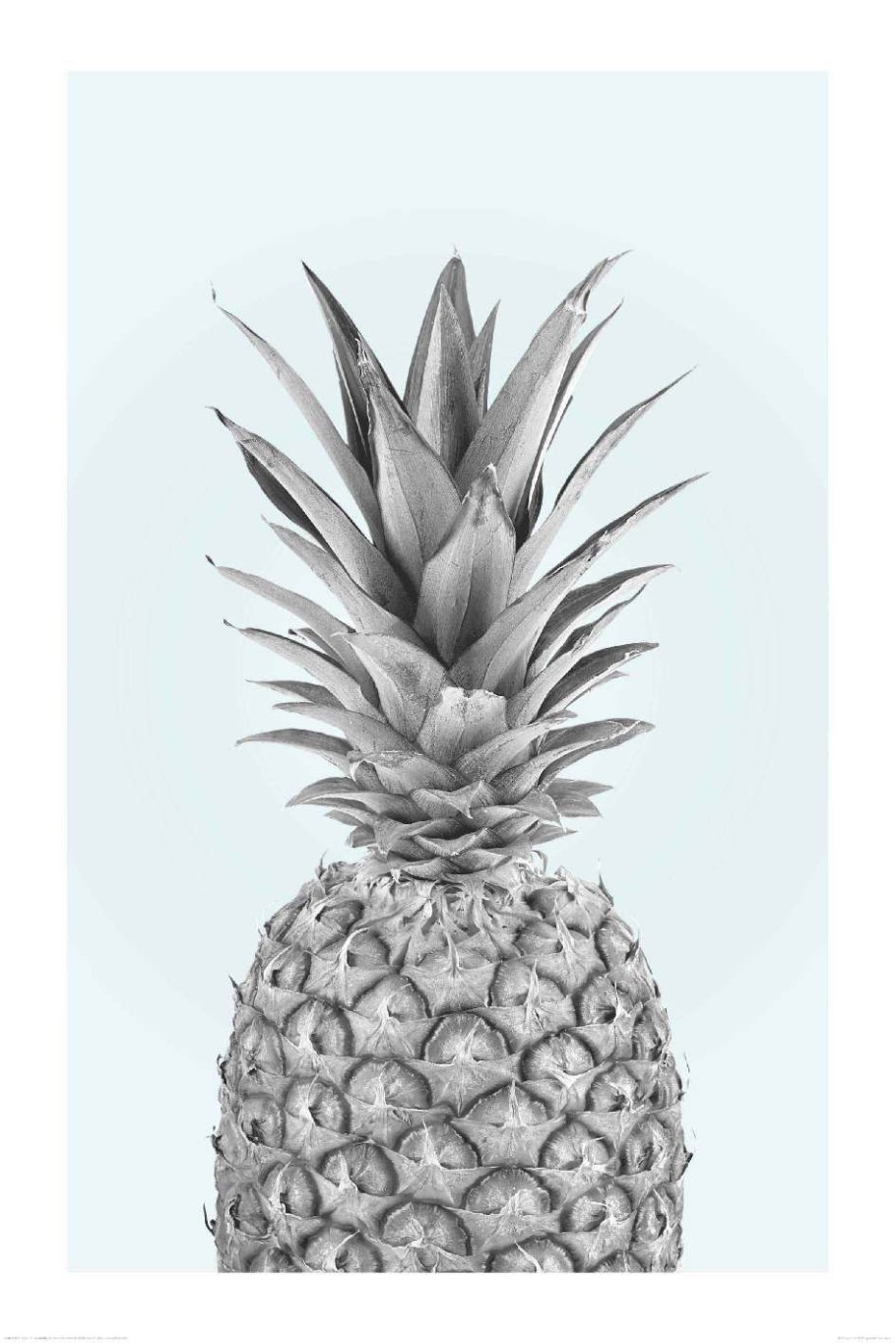 Постеры с ананасом в интерьере