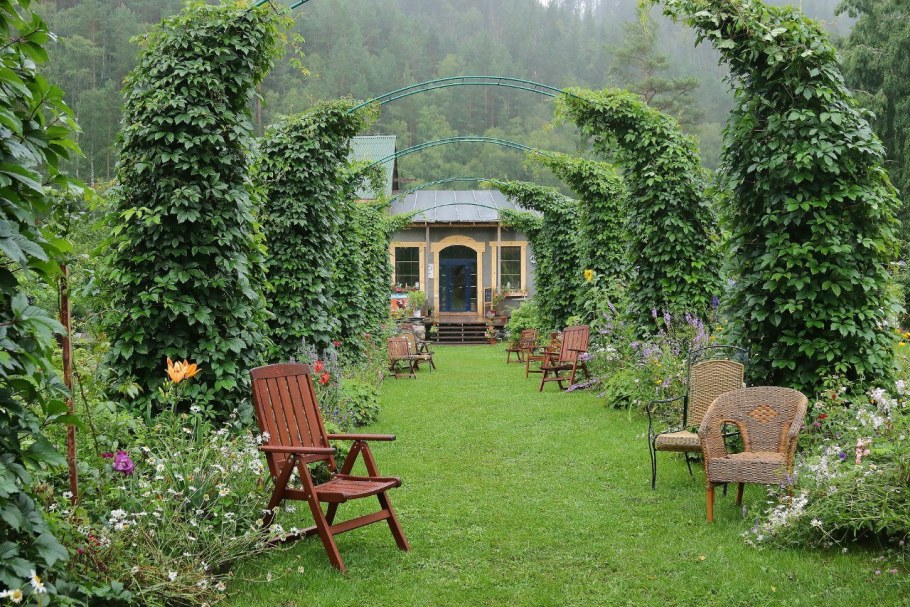 Эко парк сад пионов горный Алтай