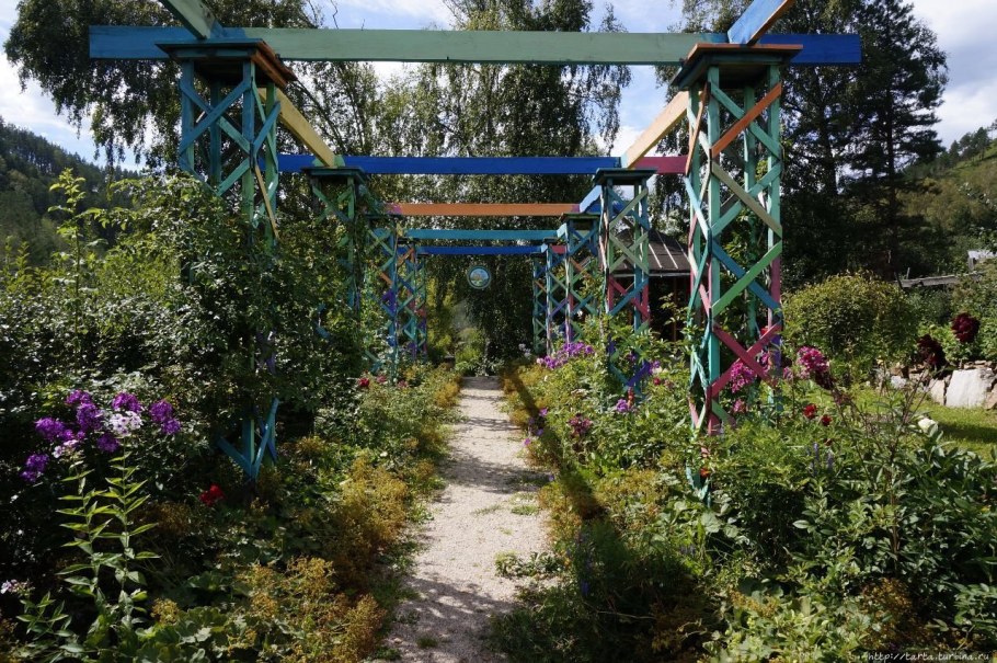 Сад пионов Алтай Чемал