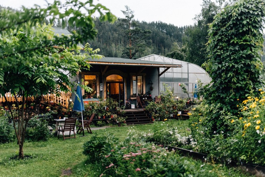 Сад пионов горный Алтай официальный сайт