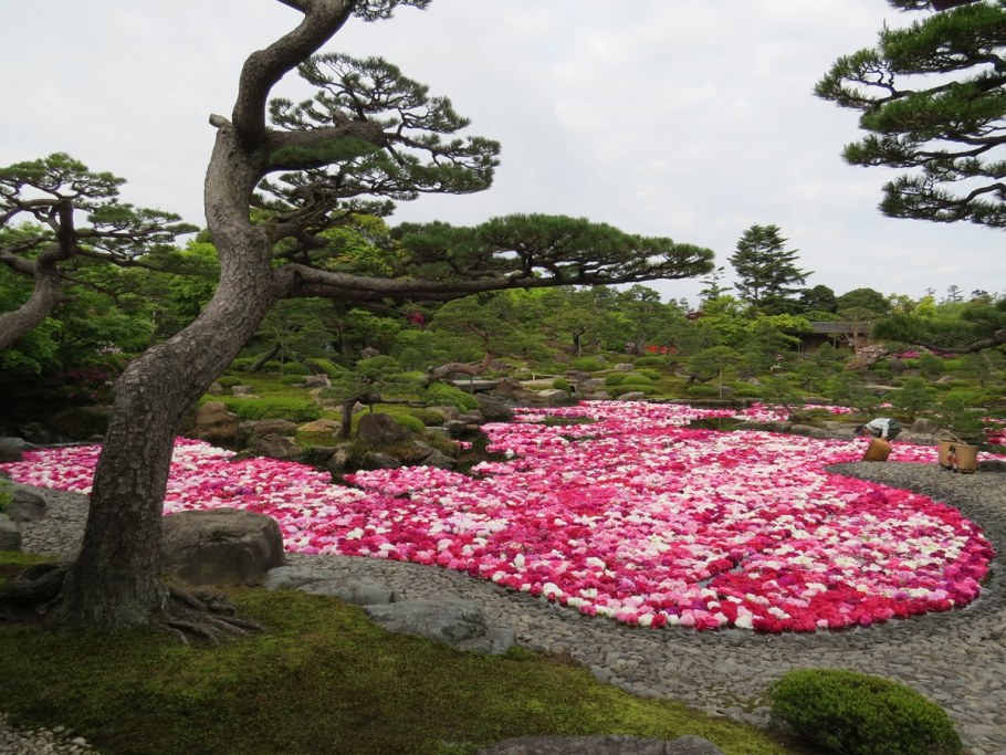 Японский сад пионов