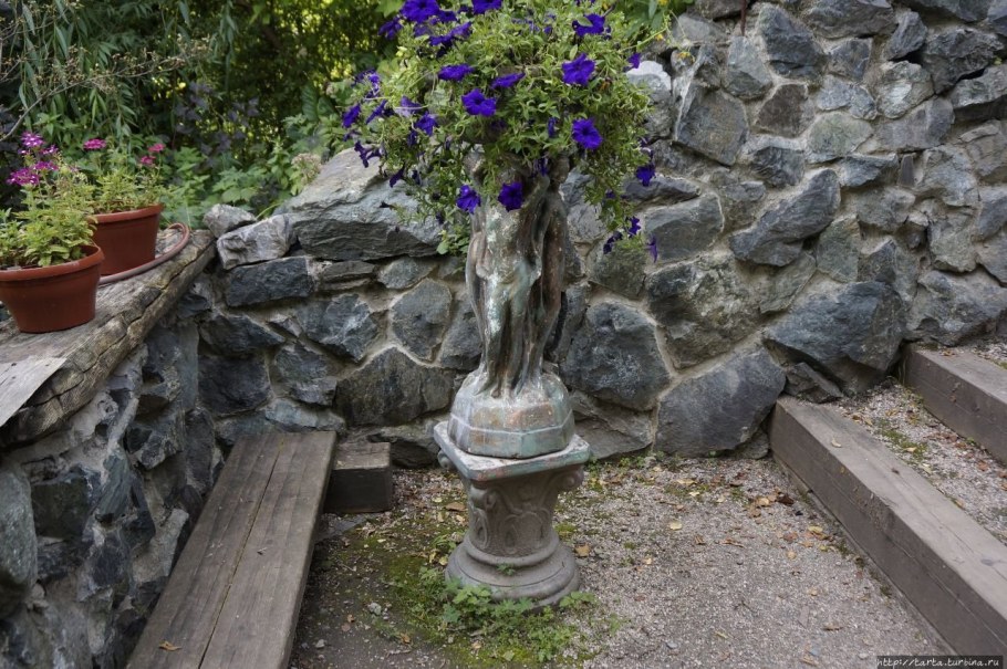 Сад пионов горный Алтай Чемал