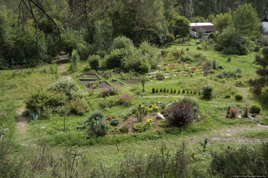 Сад пионов Элекмонар