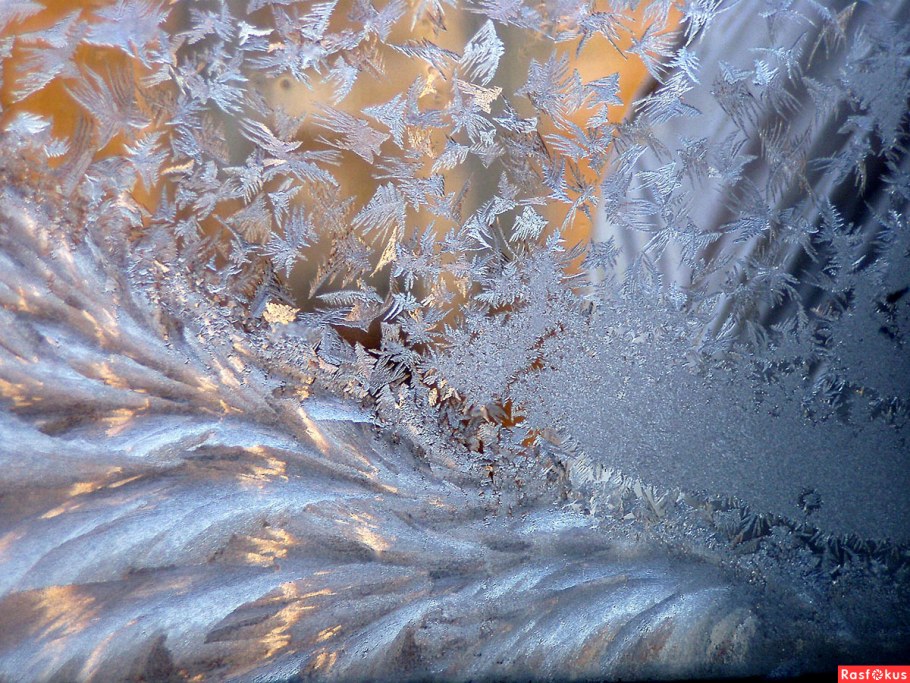 Морозные цветы на стекле