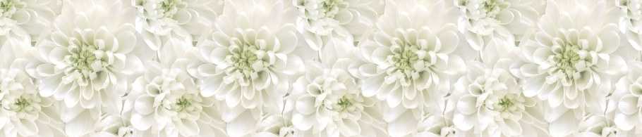 Фартук кухонный Panda 0241 2800x610x6