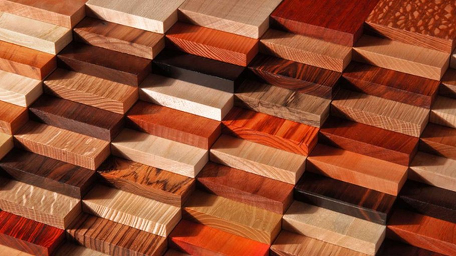 Ценные породы древесины