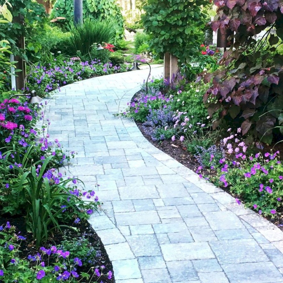 Цветы вдоль дорожек