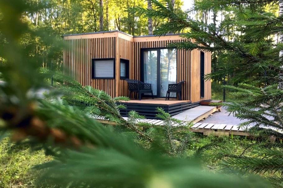 Черника коттеджи игора