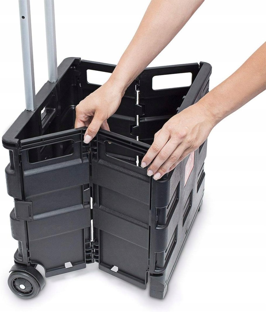 Тележка складная forensis