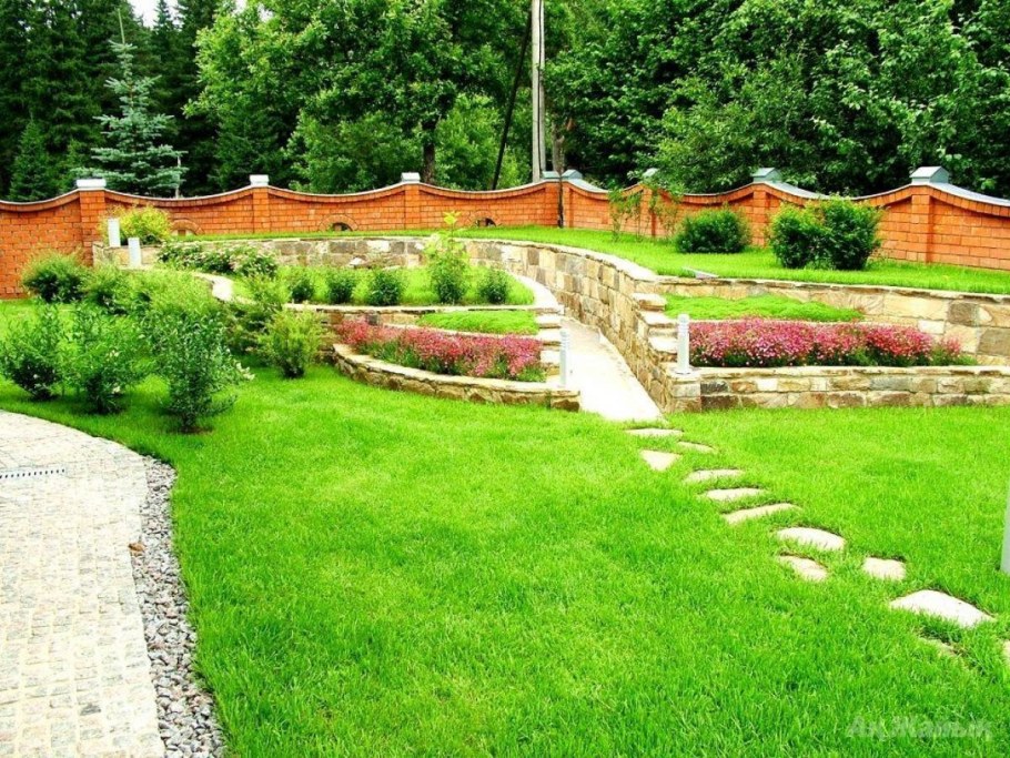 Газон на участке