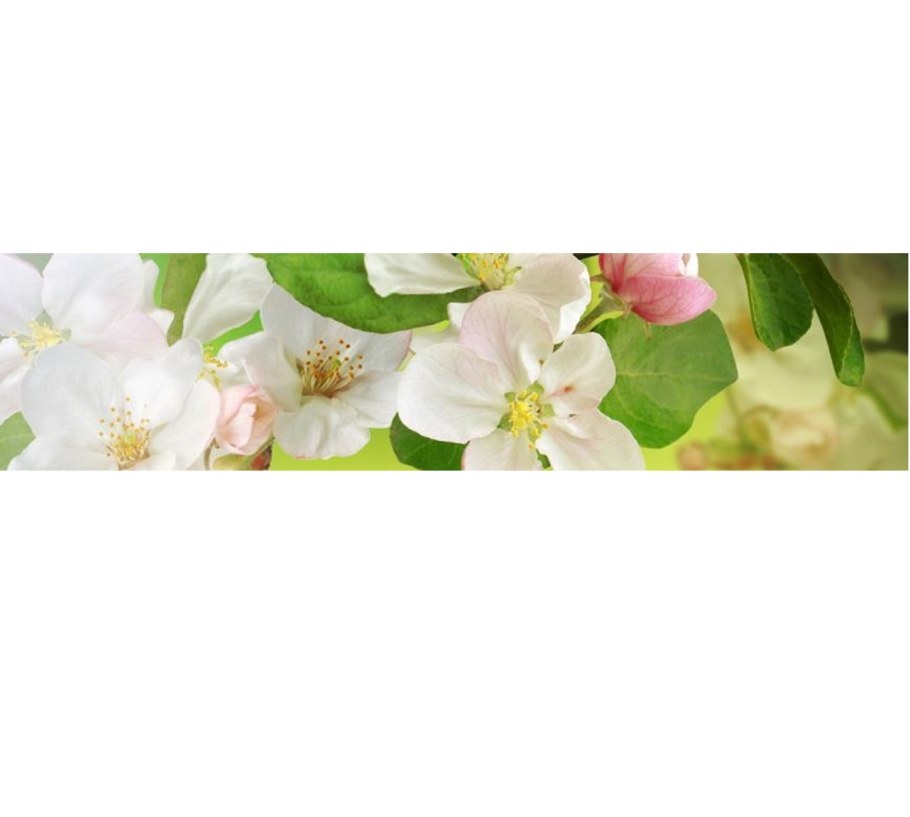 Фартук кухонный ХДФ Акватон эксклюзив Ep 107 610х2440х3мм