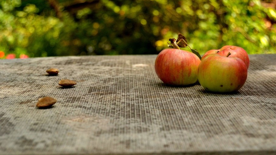 Яблоки на деревянном столе