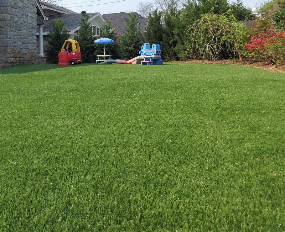 Газон Скандик