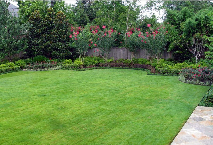 Газон на участке