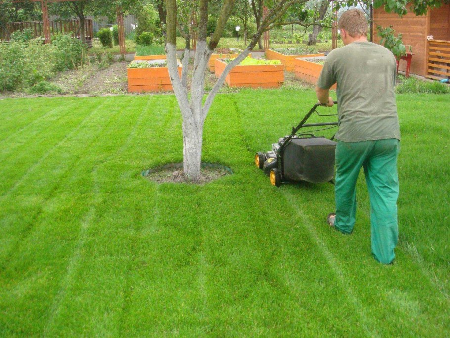 ЗЕМЛЕВАНИЕ газона