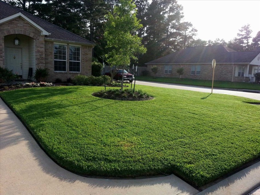 Газон элитный партерный