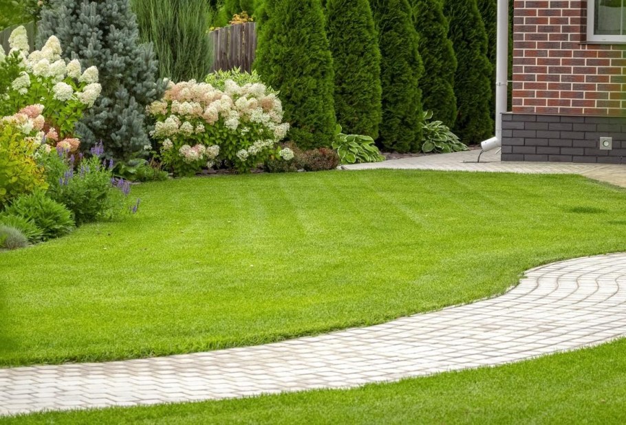 Городской газон