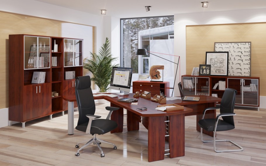 Мебель Борн для руководителя