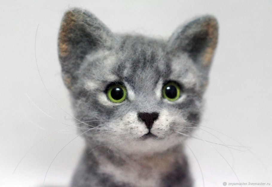 Войлочный котенок