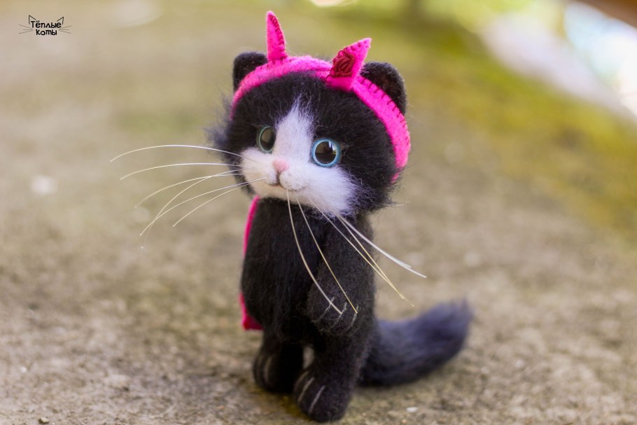 Коты из Войлока