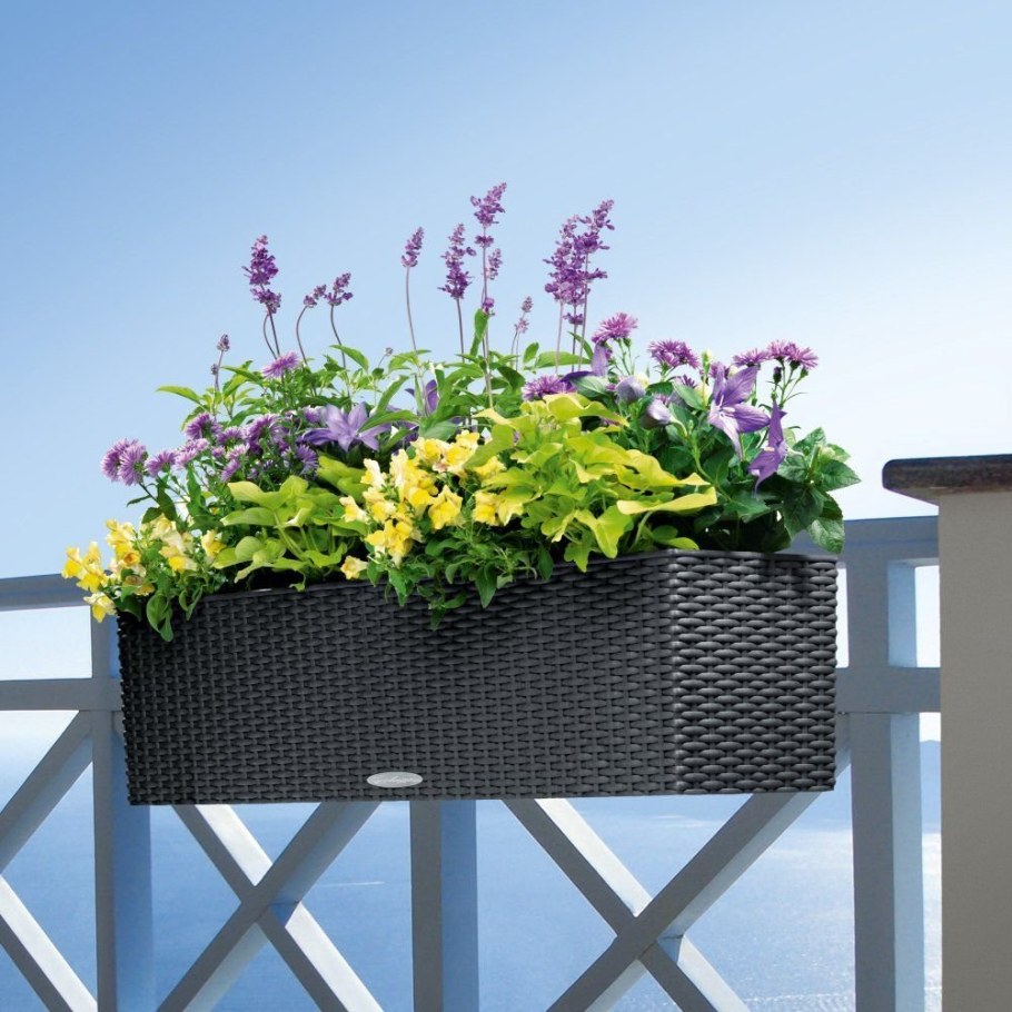 Lechuza Planters