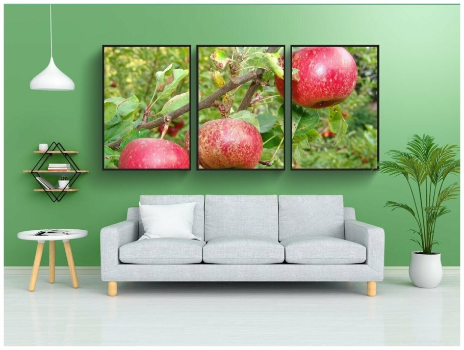 Постер фрукты