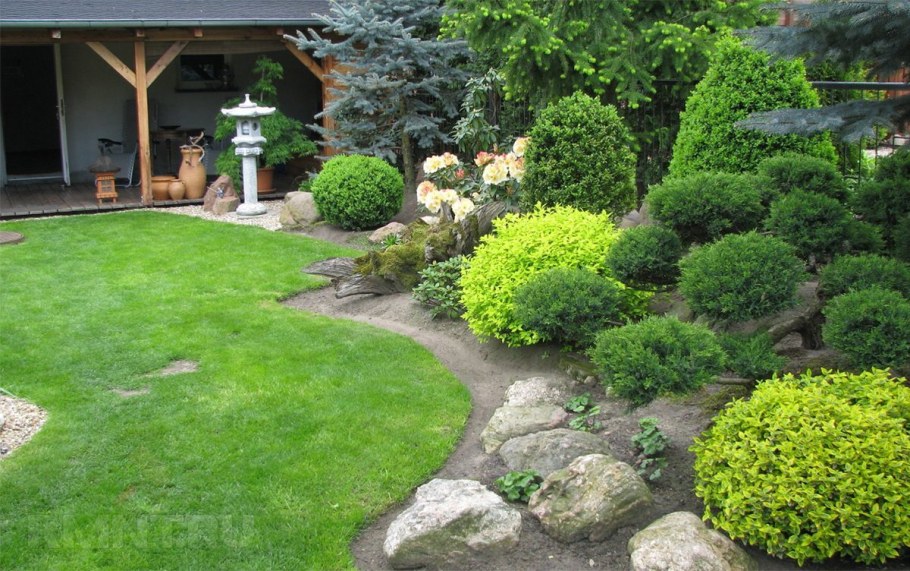 Садик хвойников ландшафт