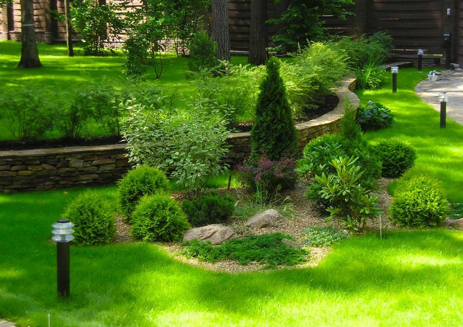 Хвойники в Лесном ландшафте