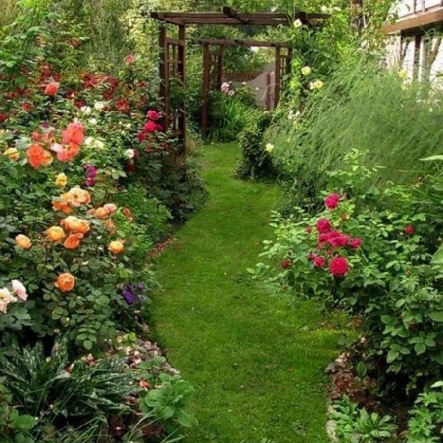 Сад Юлии Тадеуш