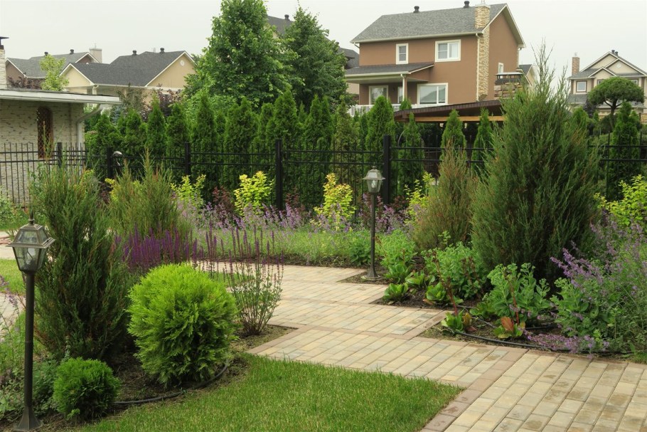 Малоуходный сад Александр Сапелин