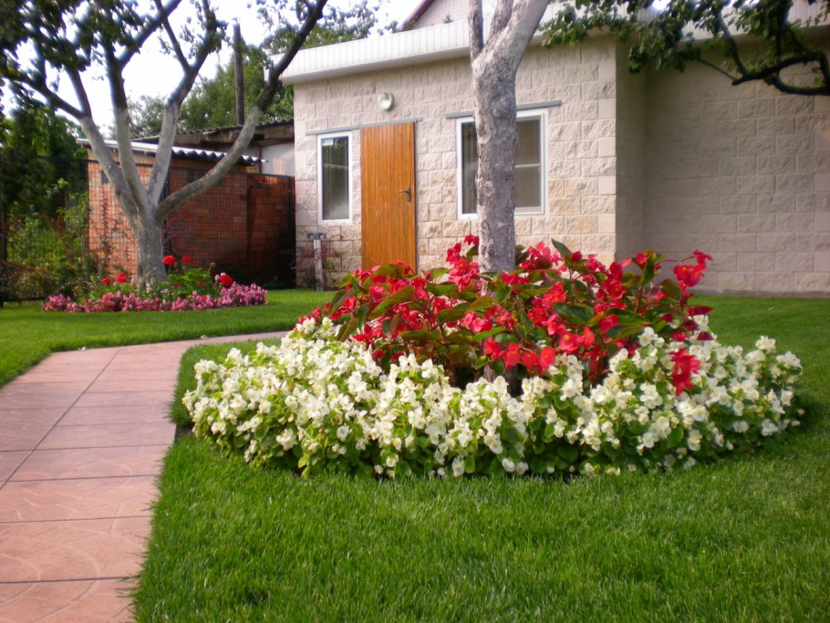 Цветники на даче 6 соток