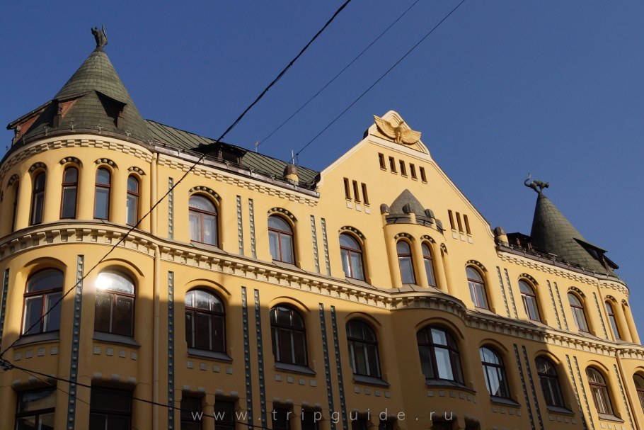 Дом с котами Киев