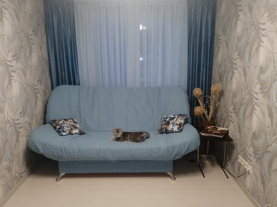 Кресло-кровать Вилсон клик-кляк