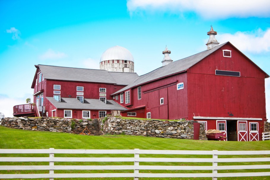 Американский жом ферма