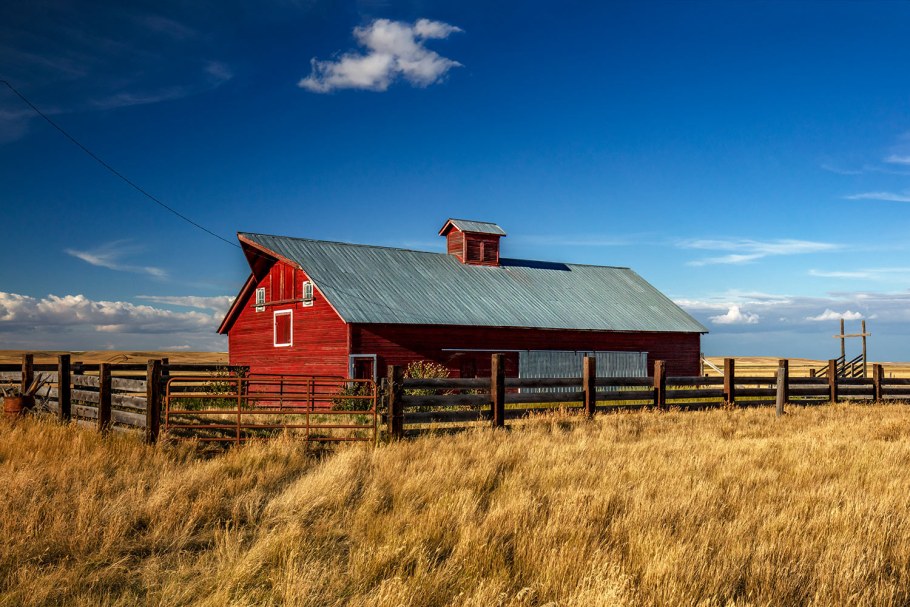 Barn Коровина