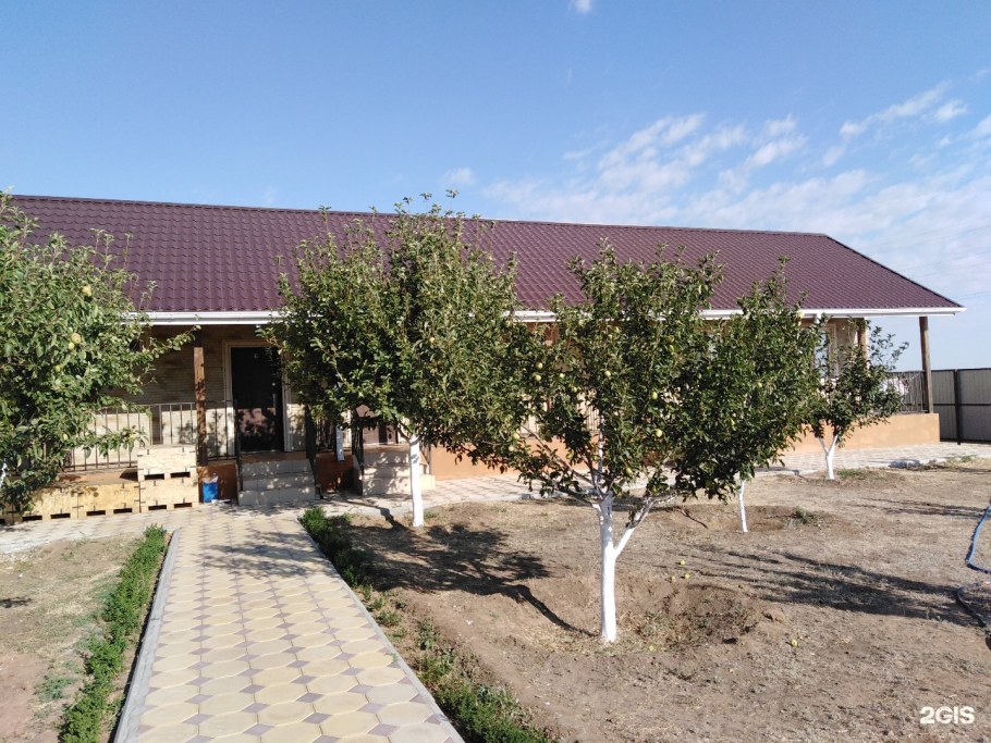 Кафе Люксойл Элиста